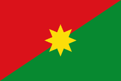 Bandera de CASANARE